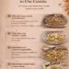 Flavours Starter Kit — Cumin Edition